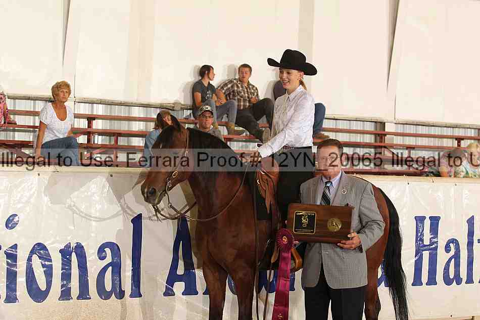 Proof Number 12yn_20065