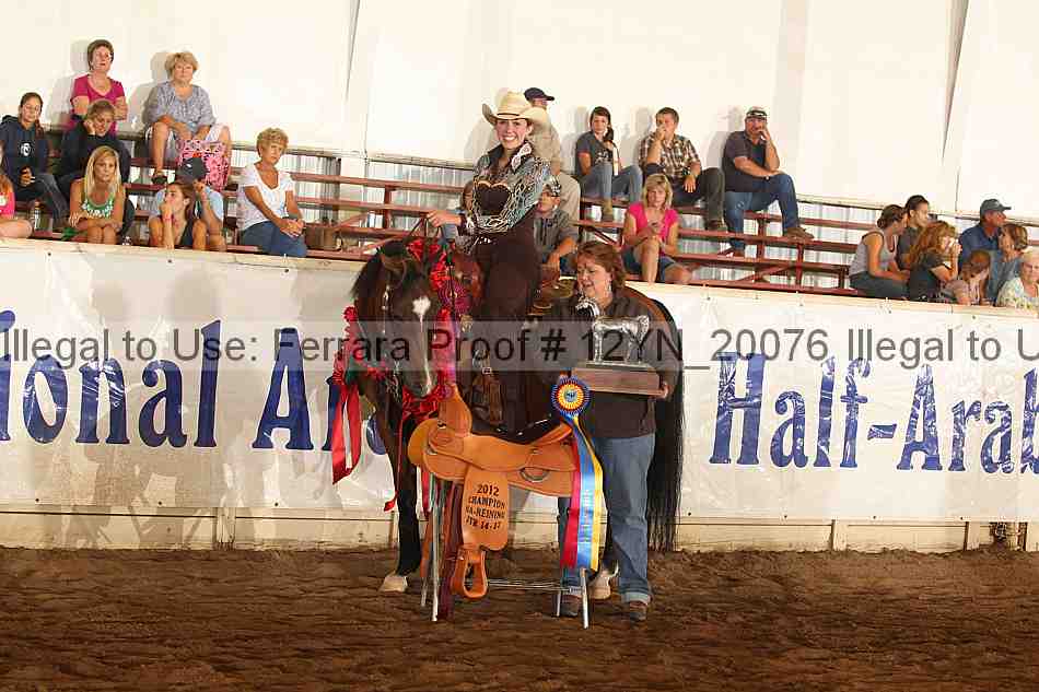 Proof Number 12yn_20076