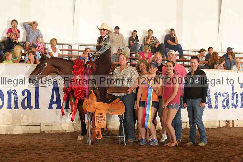Proof Number 12yn_20080