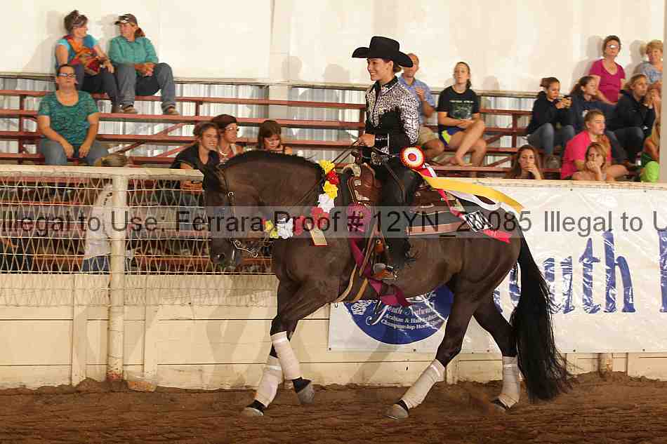 Proof Number 12yn_20085