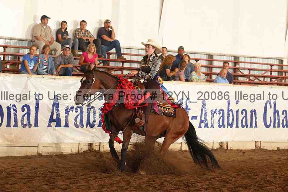Proof Number 12yn_20086