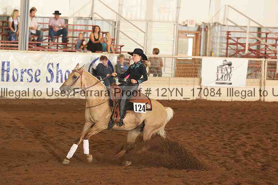 Proof Number 12yn_17084