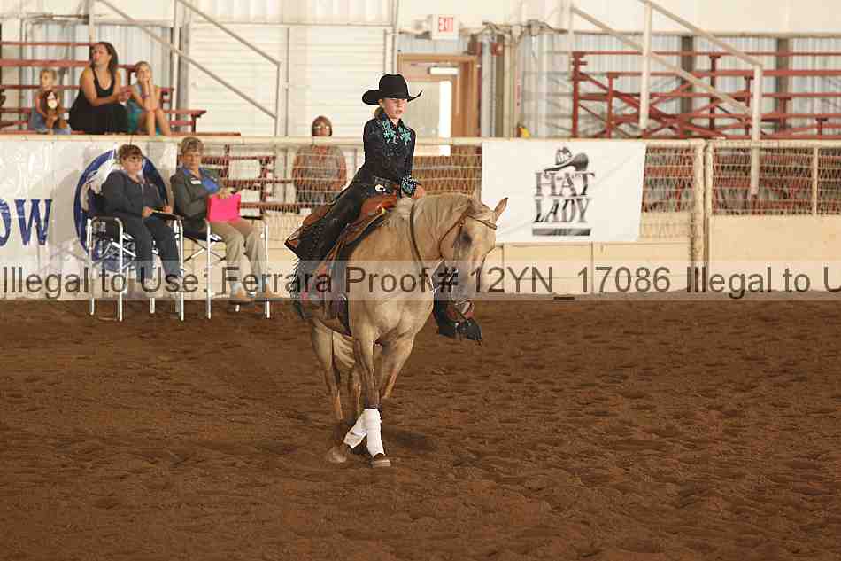 Proof Number 12yn_17086