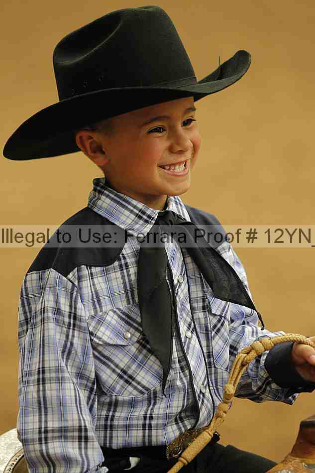 Proof Number 12yn_22776
