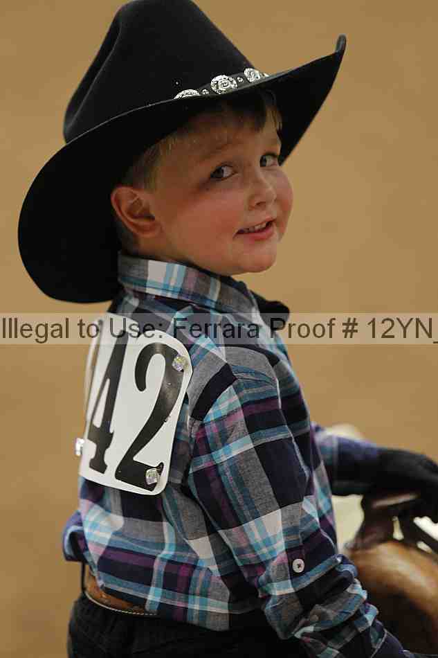 Proof Number 12yn_22833