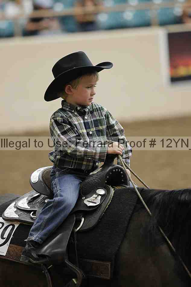 Proof Number 12yn_22850