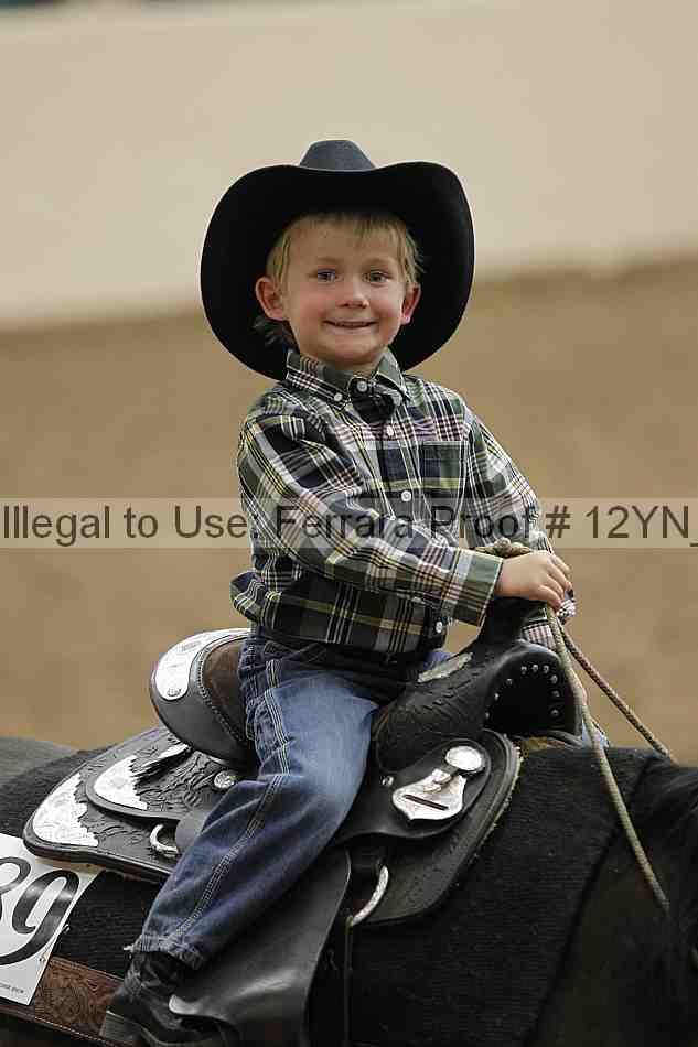 Proof Number 12yn_22857