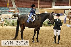 12yn_23026 thumbnail