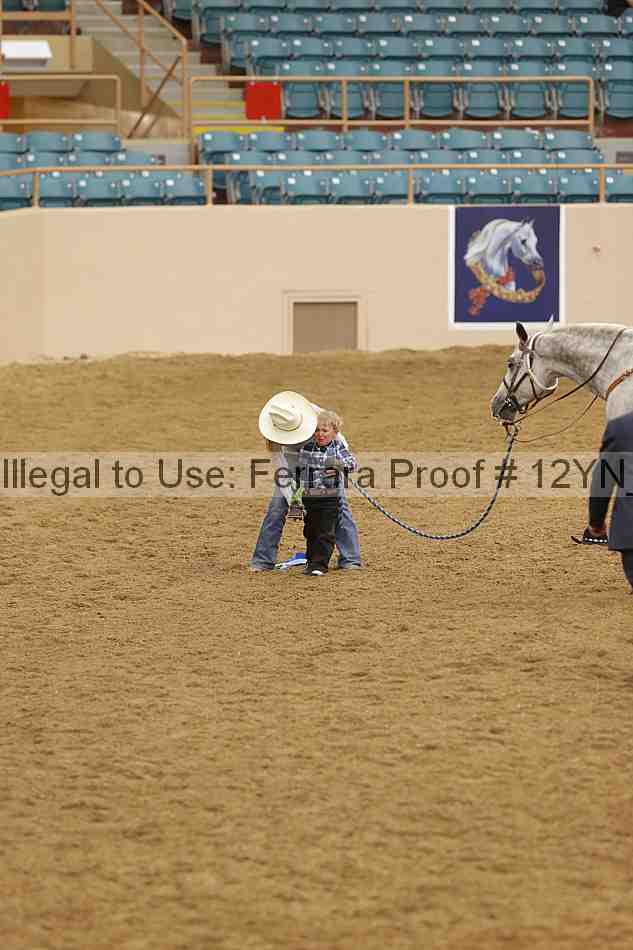 Proof Number 12yn_23068
