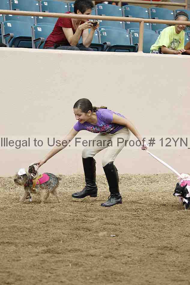 Proof Number 12yn_18789