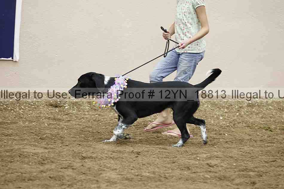 Proof Number 12yn_18813
