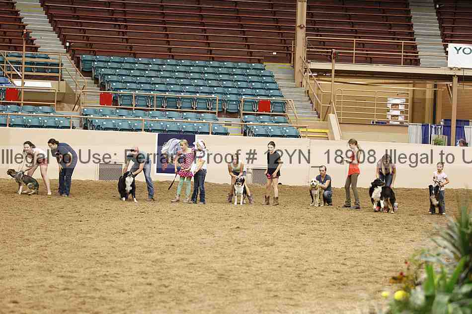 Proof Number 12yn_18908