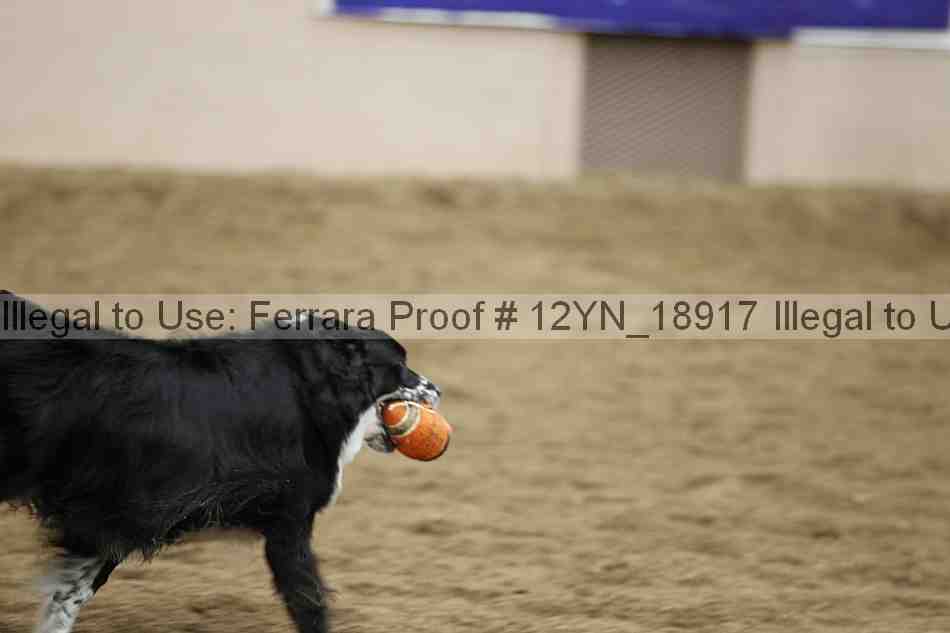 Proof Number 12yn_18917