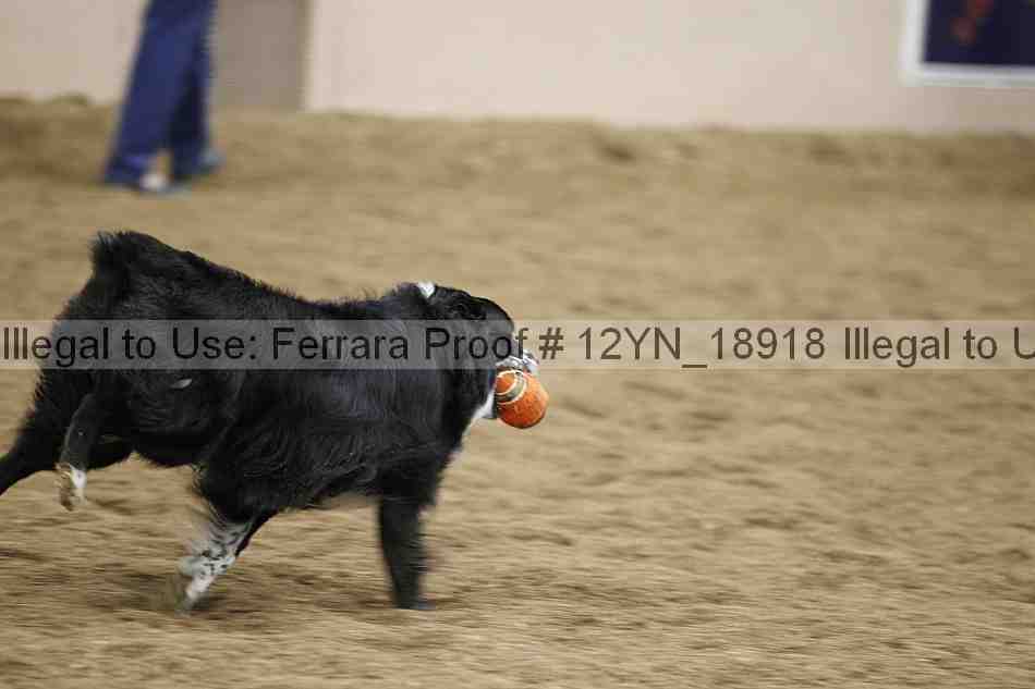 Proof Number 12yn_18918