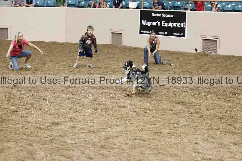 Proof Number 12yn_18933