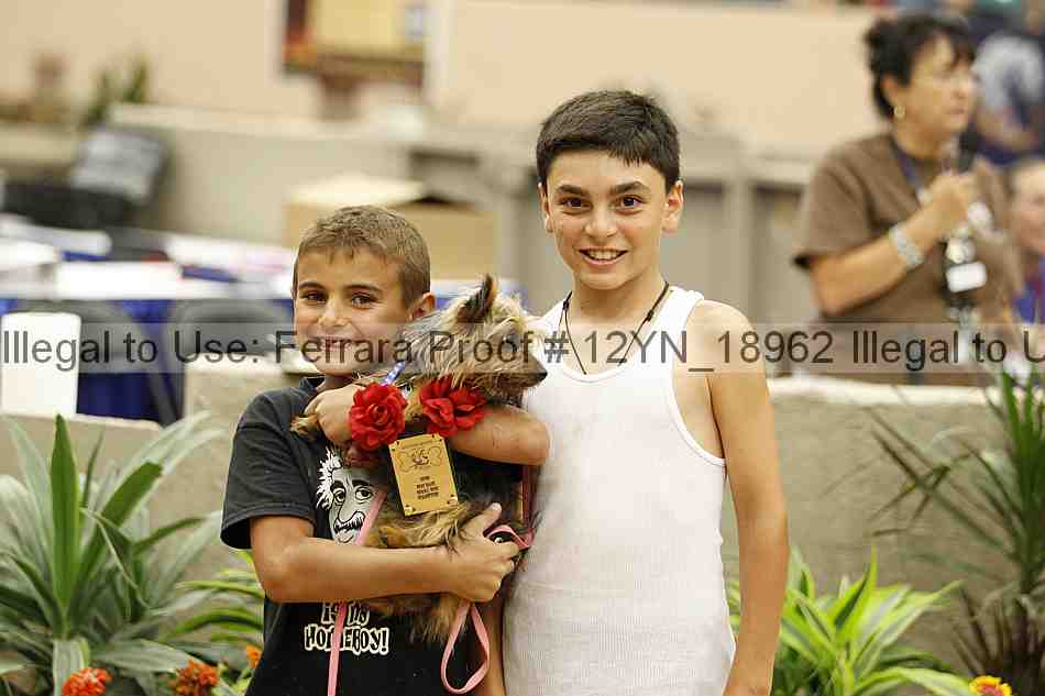 Proof Number 12yn_18962