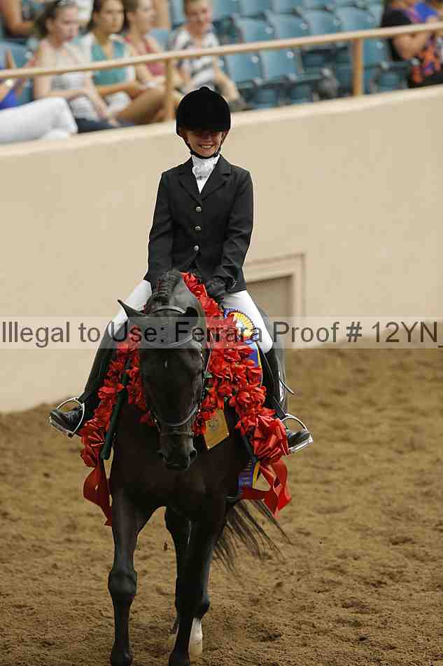 Proof Number 12yn_24123