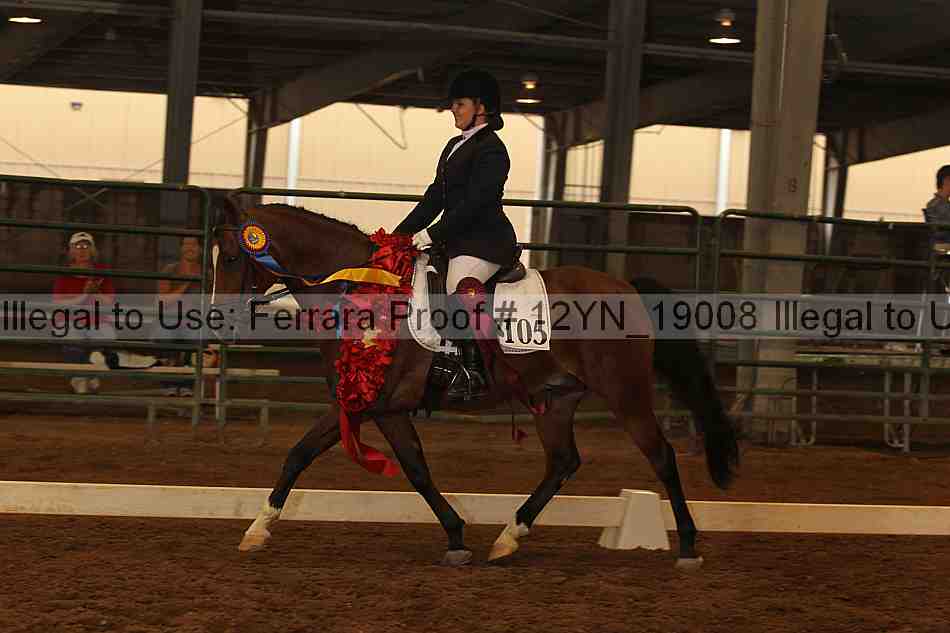 Proof Number 12yn_19008