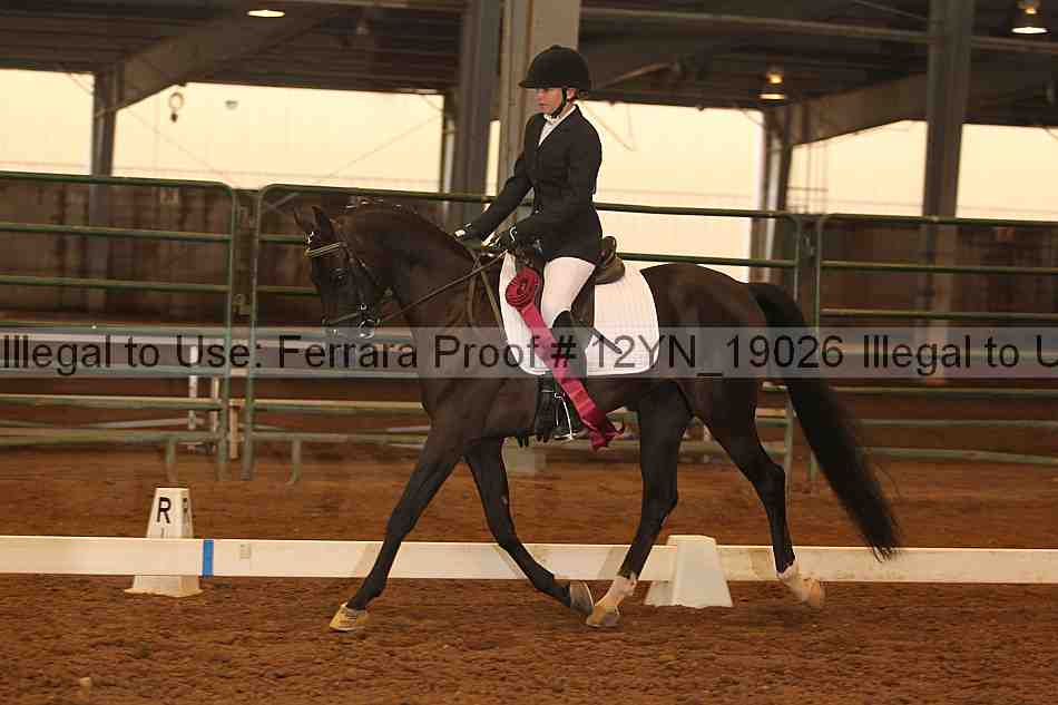 Proof Number 12yn_19026