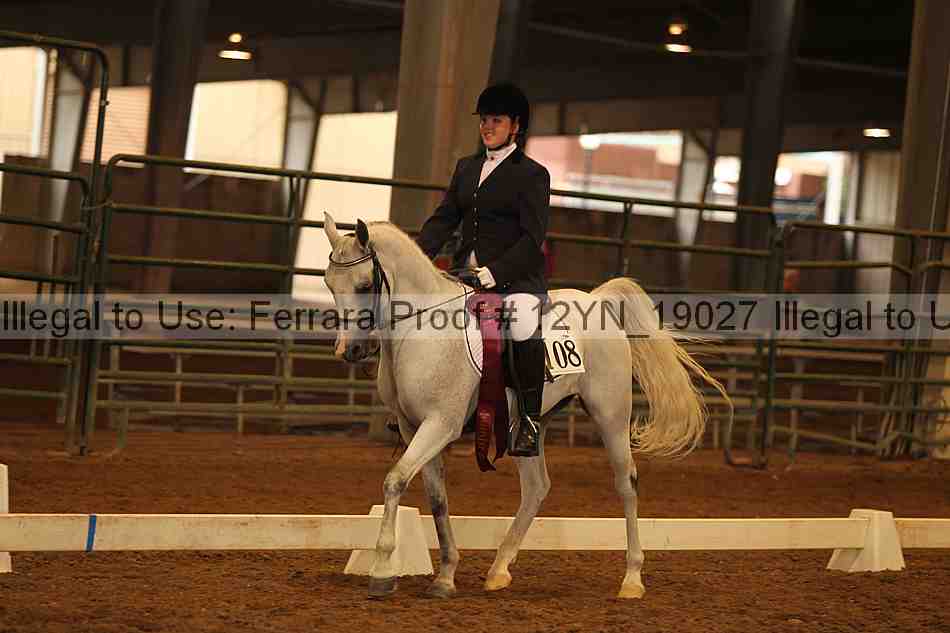 Proof Number 12yn_19027