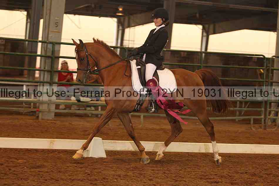 Proof Number 12yn_19031