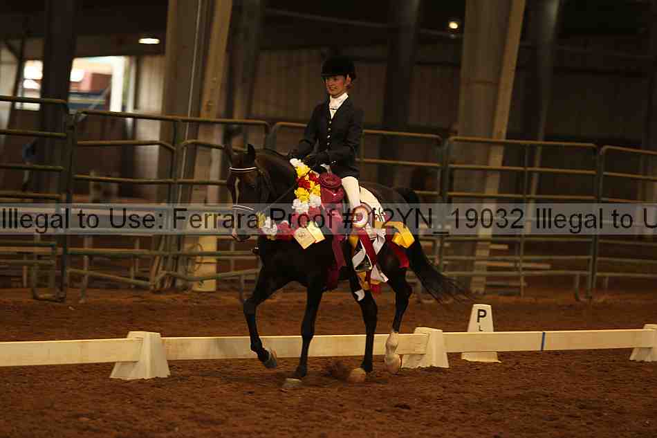 Proof Number 12yn_19032