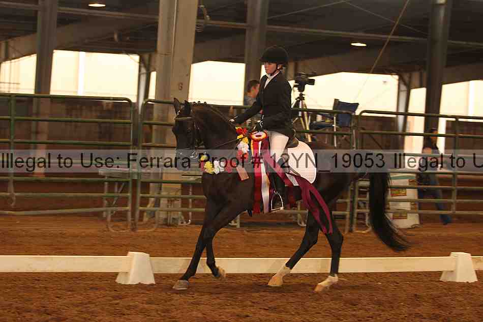 Proof Number 12yn_19053