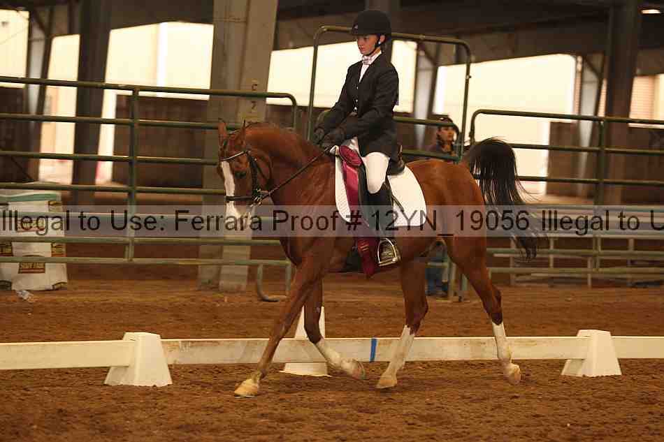 Proof Number 12yn_19056