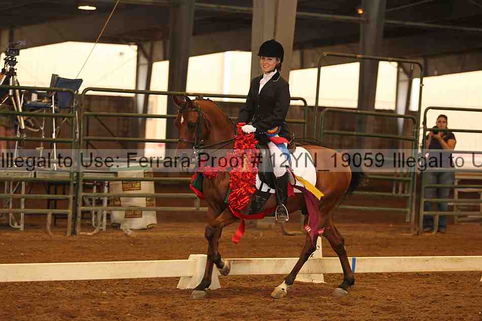 Proof Number 12yn_19059