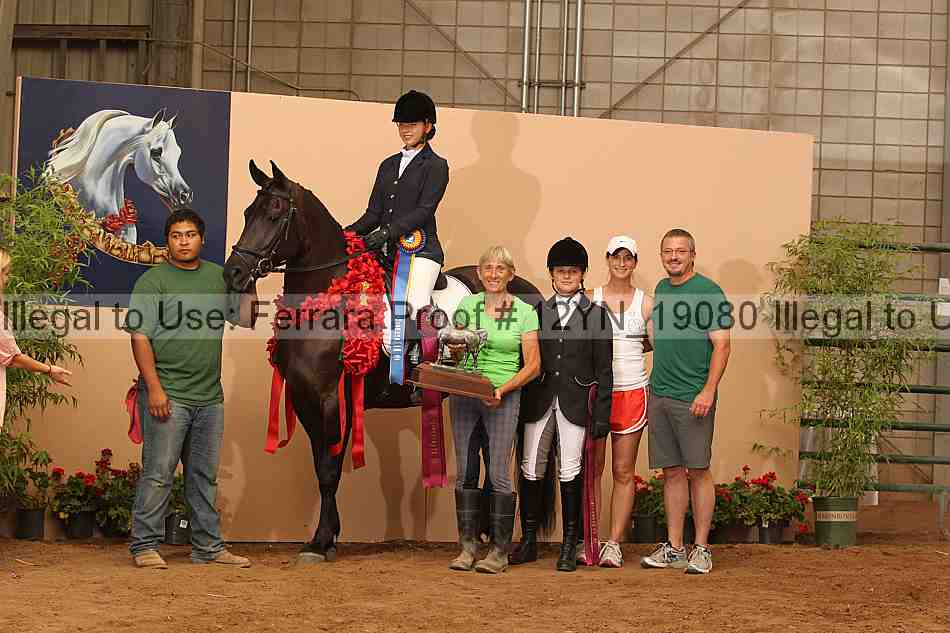 Proof Number 12yn_19080