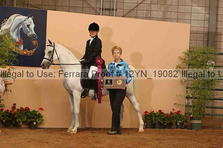 Proof Number 12yn_19082