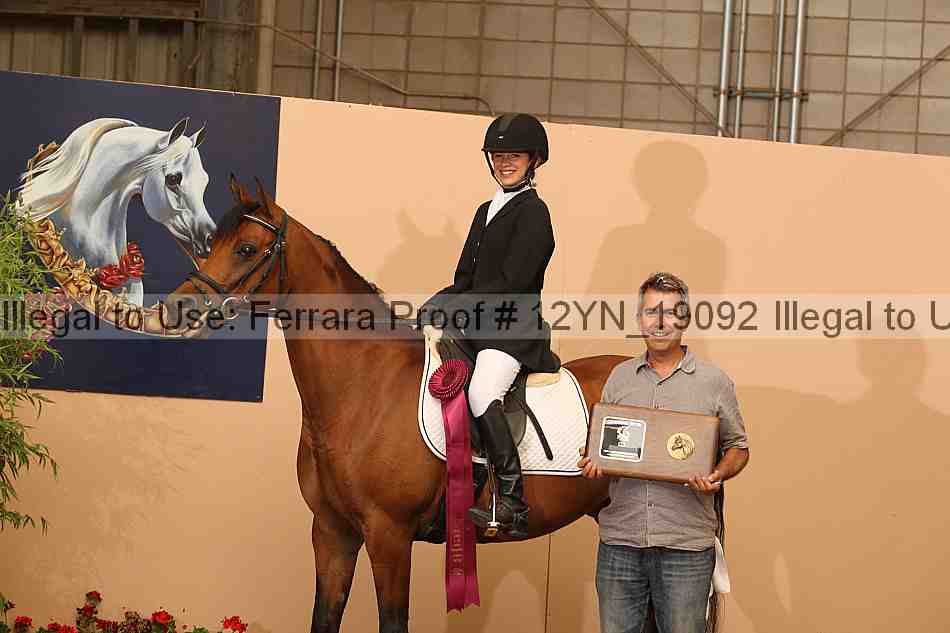 Proof Number 12yn_19092