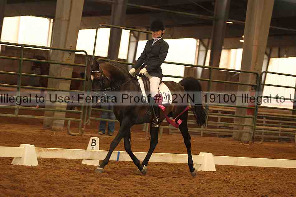 Proof Number 12yn_19100