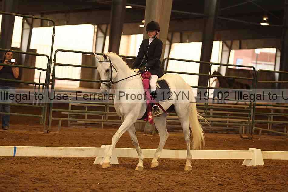 Proof Number 12yn_19102