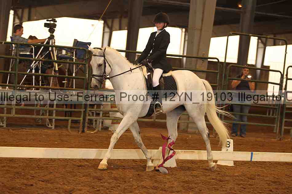 Proof Number 12yn_19103