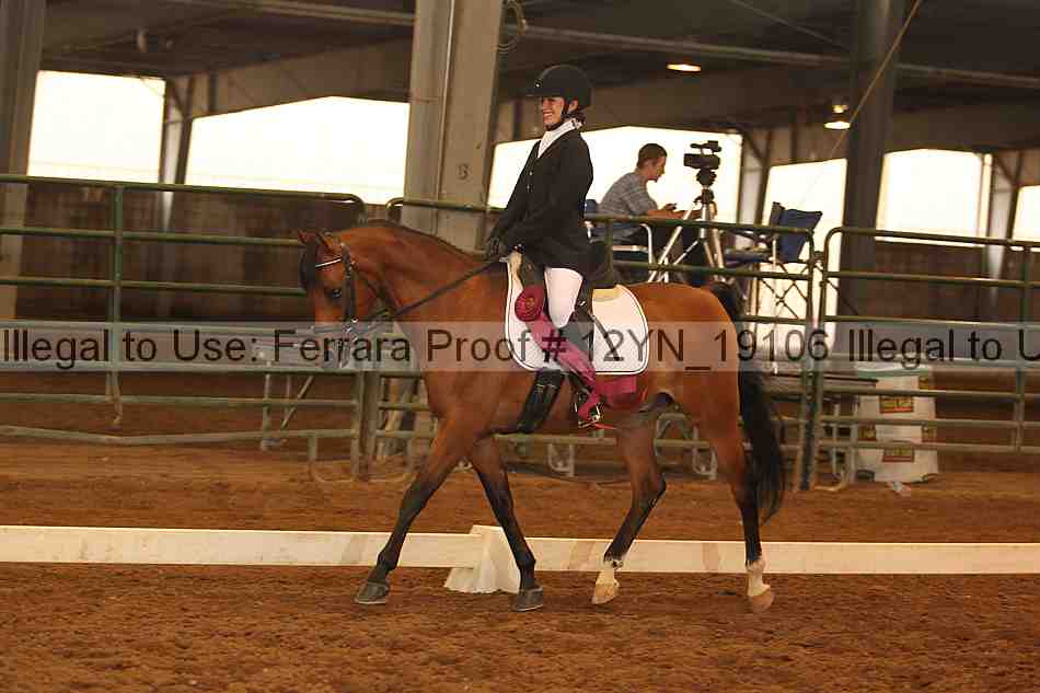 Proof Number 12yn_19106