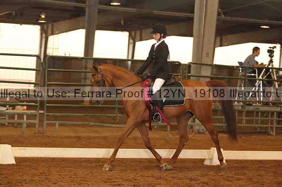 Proof Number 12yn_19108