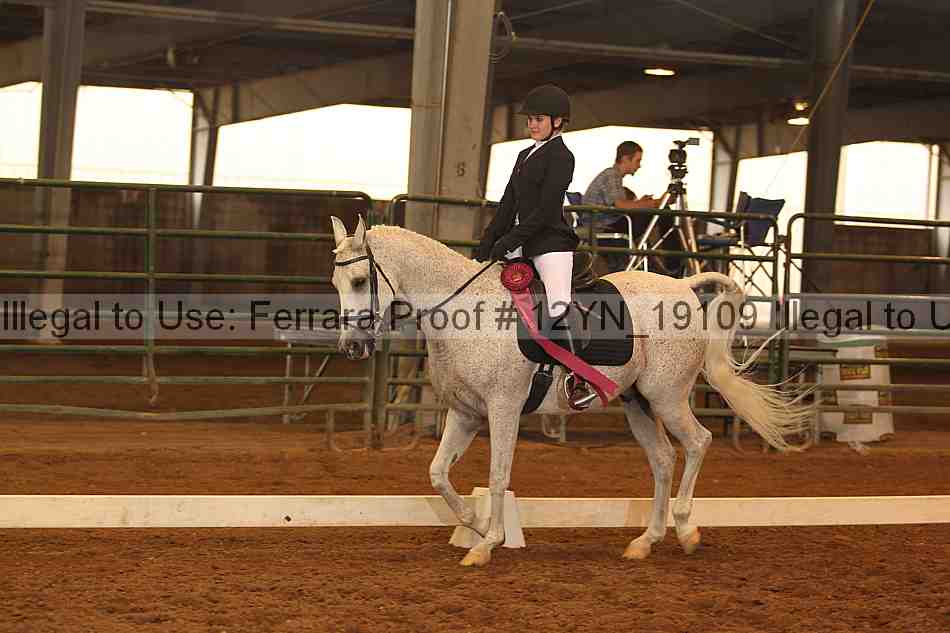 Proof Number 12yn_19109