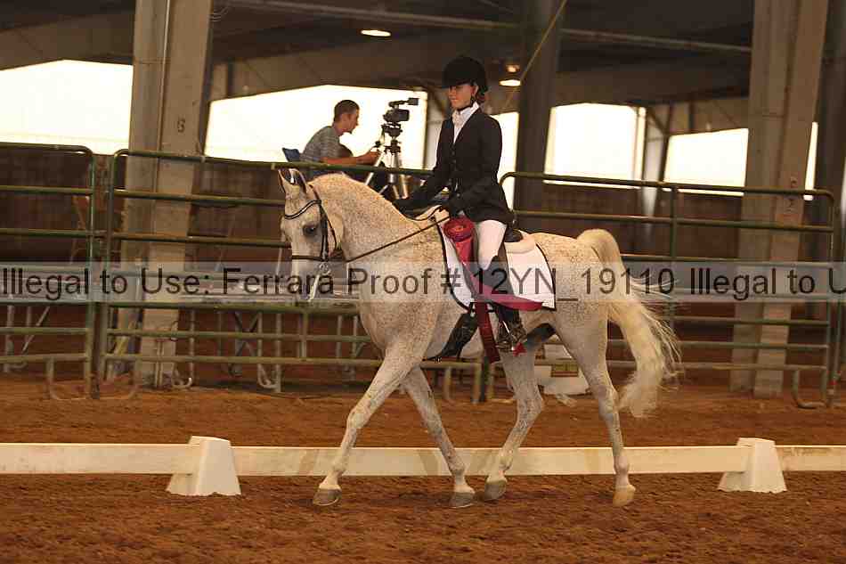Proof Number 12yn_19110