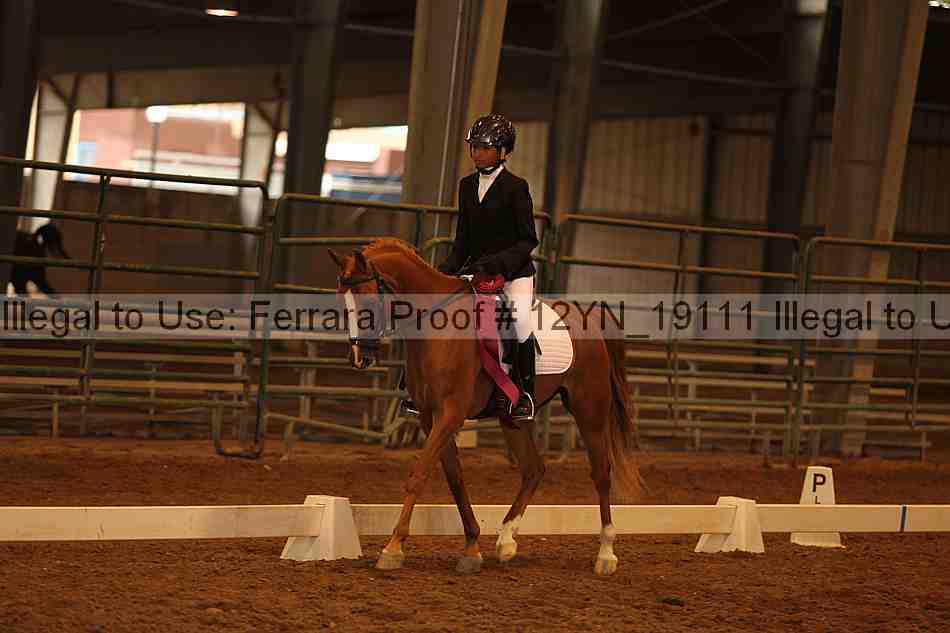 Proof Number 12yn_19111