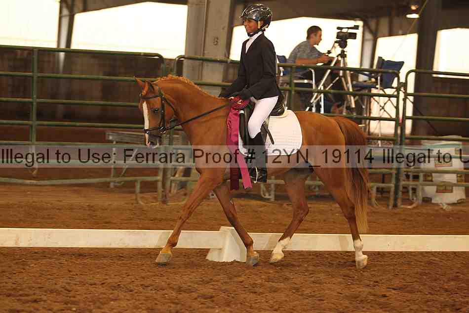 Proof Number 12yn_19114