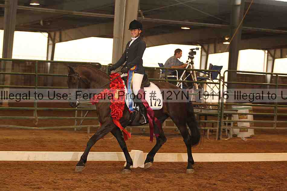 Proof Number 12yn_19116