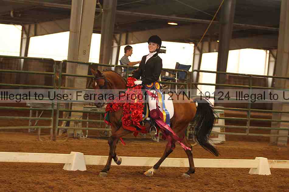 Proof Number 12yn_19124