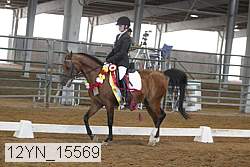12yn_15569 thumbnail