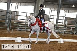 12yn_15570 thumbnail
