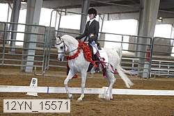12yn_15571 thumbnail