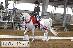 12yn_15572 thumbnail
