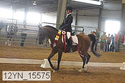 12yn_15575 thumbnail