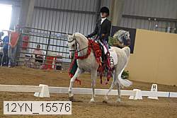 12yn_15576 thumbnail