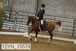 12yn_15579 thumbnail